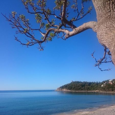 Un Po Di Relax A Pochi Passi Dal Mare! Apartment Arbatax Bagian luar foto