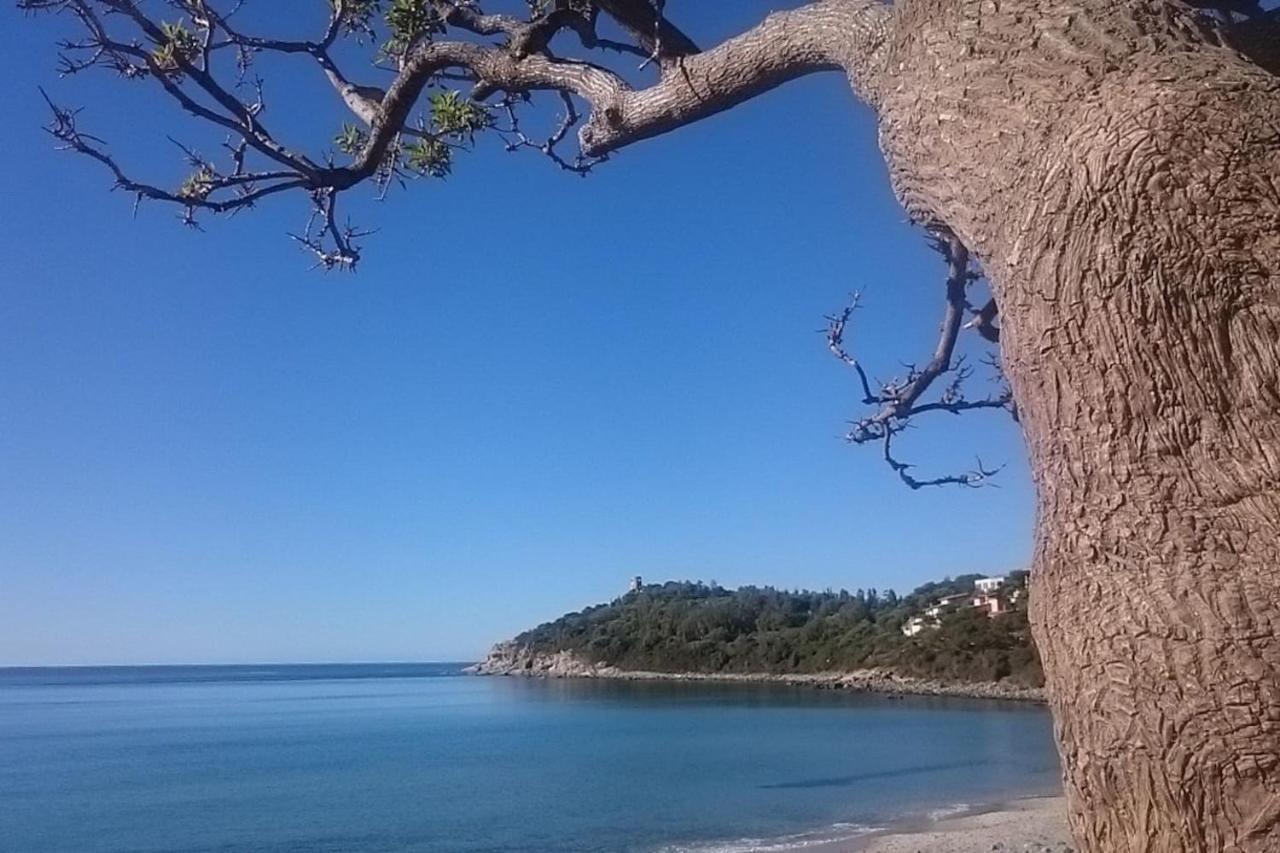 Un Po Di Relax A Pochi Passi Dal Mare! Apartment Arbatax Bagian luar foto